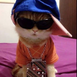 Meet your Posher, Isabella